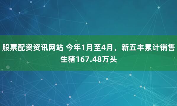 股票配资资讯网站 今年1月至4月，新五丰累计销售生猪167.48万头